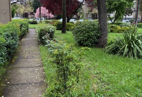 ARRIENDO DEPARTAMENTO PLAZA PINTO , 3 DORMITORTIO