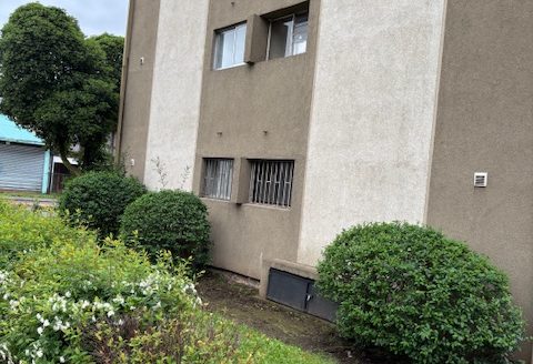 ARRIENDO DEPARTAMENTO PLAZA PINTO , 3 DORMITORTIO