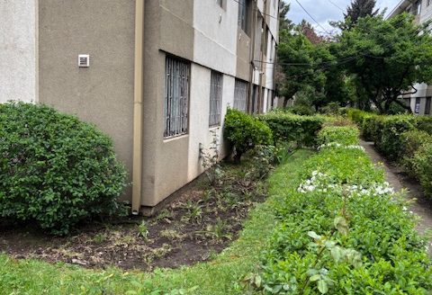 ARRIENDO DEPARTAMENTO PLAZA PINTO , 3 DORMITORTIO